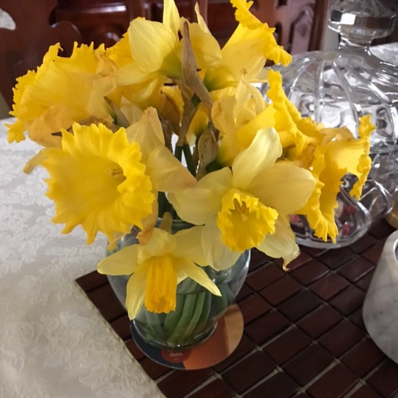 Meet your Posher, Michelle - Picture 9 of 15